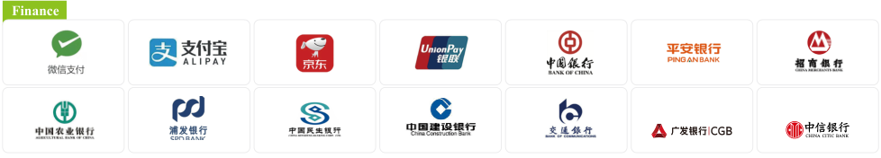 Original finance & payment brand logo panel from TELD’s brochure